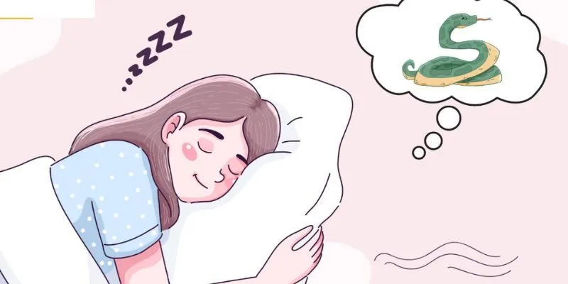 Giải mã số học giấc mơ về loài rắn