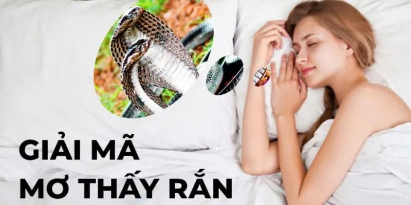 Rắn là loài động vật gắn liền với những chiêm bao kỳ lạ