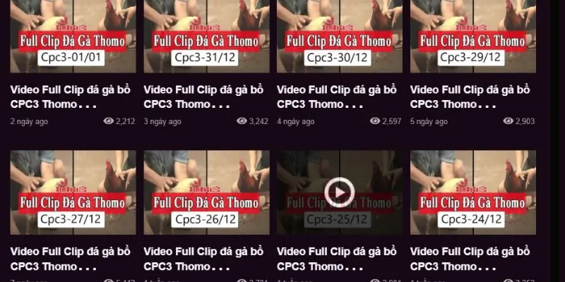 Đa dạng thể loại để cược thủ lựa chọn